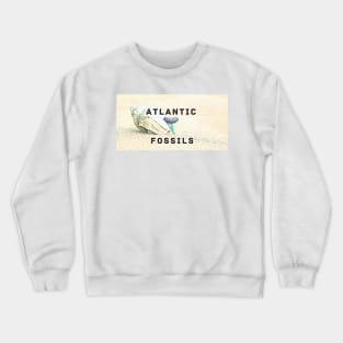 Conch Shell Atlantic Fossils Shark Tooth Crewneck Sweatshirt